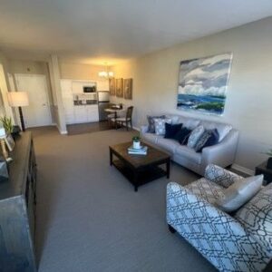 ivy-park-at-laguna-woods-5-apartment.jpg