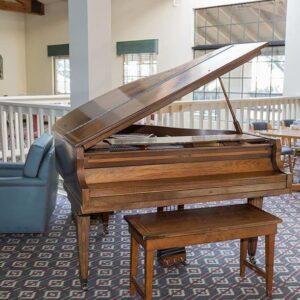 ivy-park-at-san-juan-capistrano-3-piano.jpg