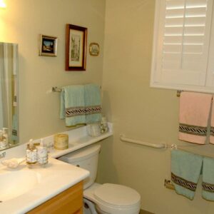 ivy-park-at-tustin-apartment-restroom.jpg