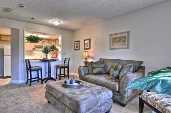 ivy-park-of-wellington-apartment-living-room.jpg