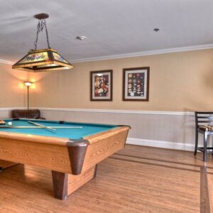ivy-park-of-wellington-billiards.jpg