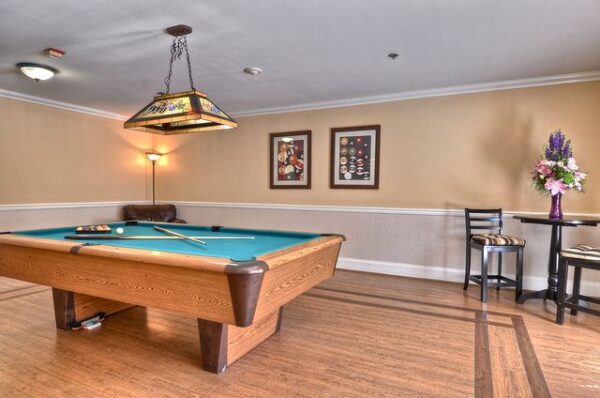 ivy-park-of-wellington-billiards.jpg