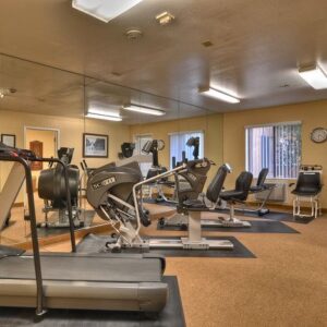 ivy-park-of-wellington-gym.jpg