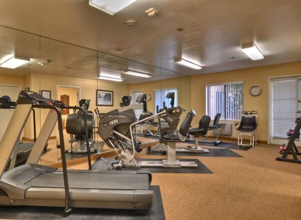 ivy-park-of-wellington-gym.jpg