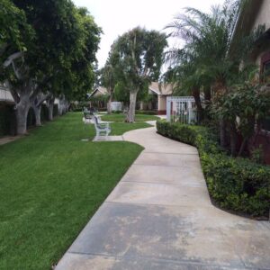 ivy-terrace-at-santa-ana-walkway-2.jpg