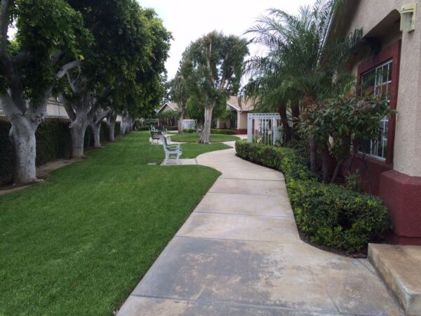 ivy-terrace-at-santa-ana-walkway-2.jpg