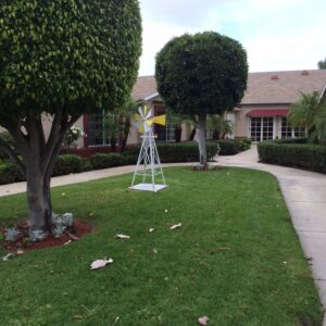 ivy-terrace-at-santa-ana-walkway.jpg