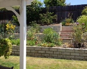 karrys-elder-care-backyard.jpg