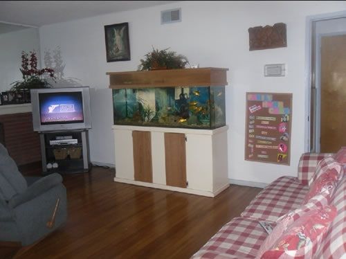 la-habra-plaza-3-living-room.jpg