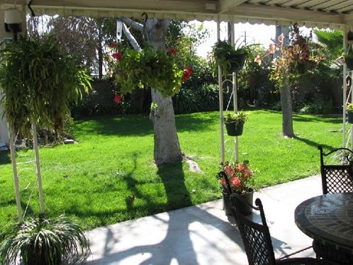 la-habra-plaza-6-back-patio.jpg
