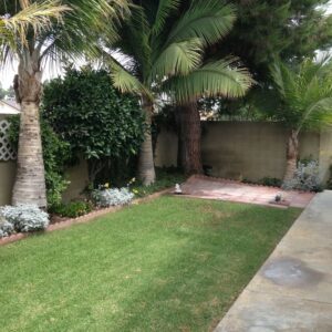 los-tiempos-senior-living-i-backyard.jpg