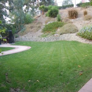 lr-care-home-back-yard.jpg