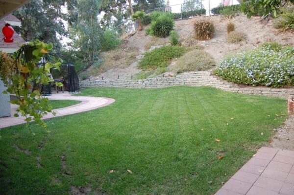 lr-care-home-back-yard.jpg