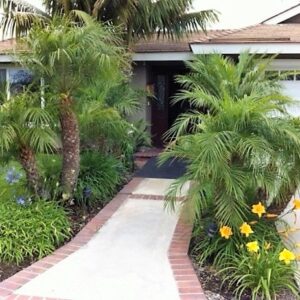 matsonia-lane-homes-front-walkway.jpeg