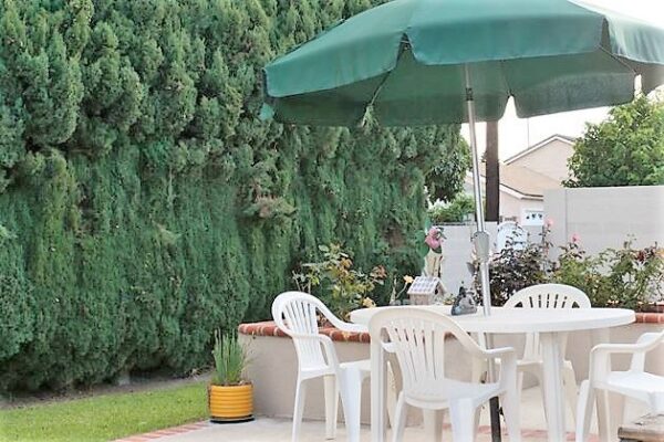 meadowlark-gardens-v-6-patio.jpg