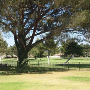 new-horizon-board-and-care-i-6-back-yard.jpg