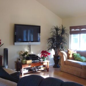 new-horizon-board-and-care-ii-living-room.jpg
