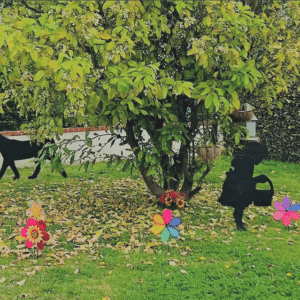 nikkis-loving-care-home-5-front-yard.png