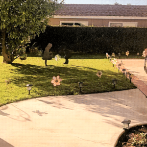 nikkis-loving-care-home-6-morning-exercise.png