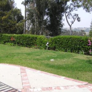 ohana-care-yard.jpg