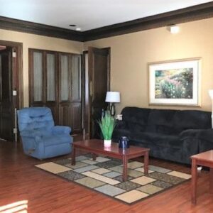olive-tree-home-care-living-room-2.jpg