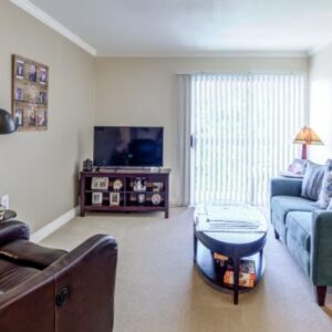 park-plaza-5-apartment-living-room.jpg