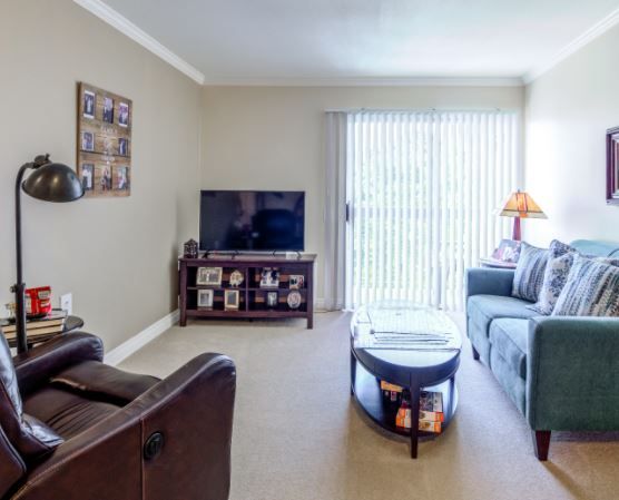 park-plaza-5-apartment-living-room.jpg