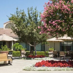 park-vista-at-morningside-1-grounds.jpg