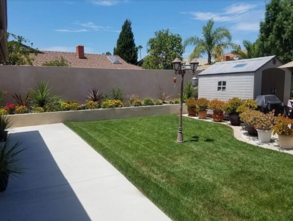 precious-home-care-ii-back-yard.jpg