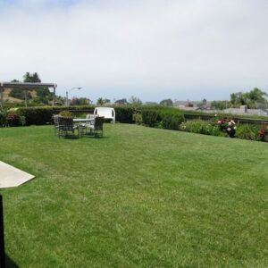rosehaven-iii-care-home-yard-2.jpg