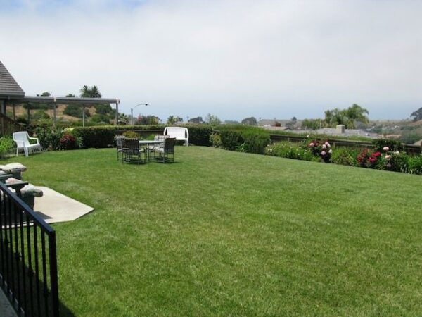 rosehaven-iii-care-home-yard-2.jpg