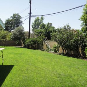 royal-manor-care-home-yard.jpg