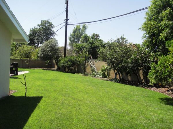 royal-manor-care-home-yard.jpg