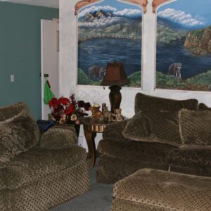 saddleback-fmj-i-elderly-care-home-3-living-room-2.jpg