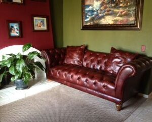 saddleback-fmj-ii-elderly-care-home-1-living-room.jpg