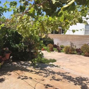 select-senior-care-llc-yard.jpg