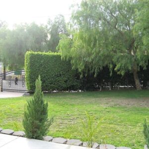 serenity-hills-manor-yard.jpg