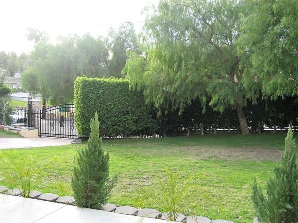 serenity-hills-manor-yard.jpg