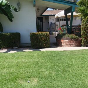 sonias-care-home-1-front-view.jpg