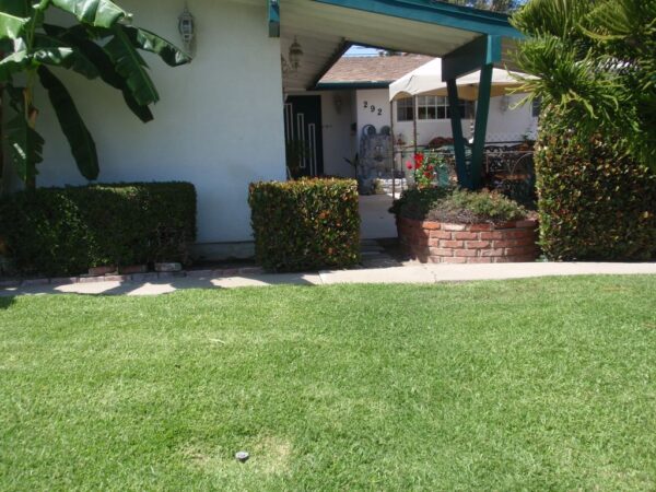 sonias-care-home-1-front-view.jpg