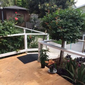 star-dust-home-6-backyard.jpg