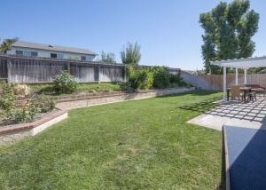 sycamore-care-homes-back-yard.jpg