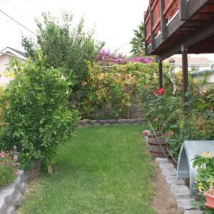 tabis-facility-home-care-6-yard.jpg