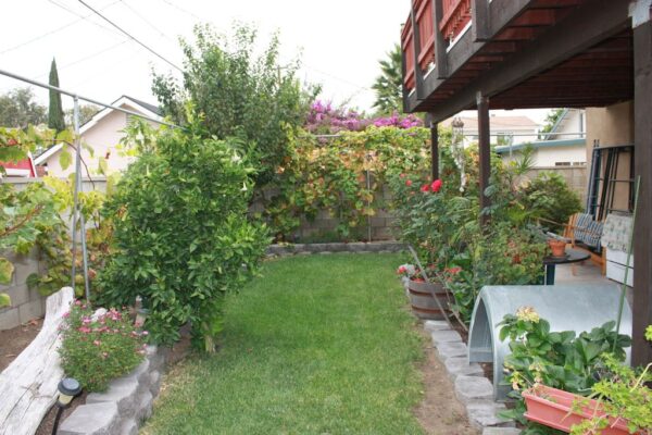 tabis-facility-home-care-6-yard.jpg