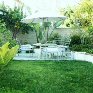 tessas-place-v-6-back-yard.jpg