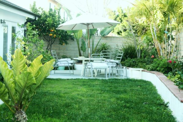 tessas-place-v-6-back-yard.jpg