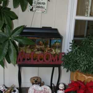 tessies-place-i-front-patio.jpg