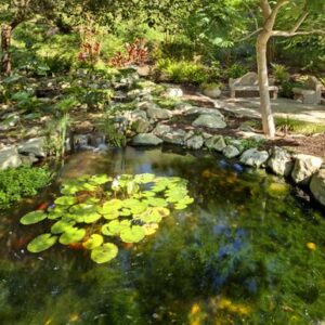 the-covington-6-pond.jpg