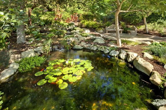 the-covington-6-pond.jpg