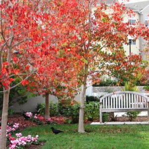 the-covington-outside-bench.jpg